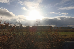 IMG-20251016-WA0004