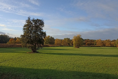 IMG-20251016-WA0008