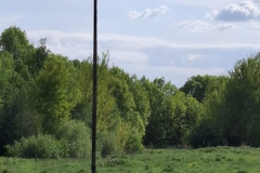 IMG-20250508-WA0001