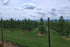 IMG-20250529-WA0019