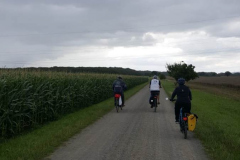 IMG-20250731-WA0002