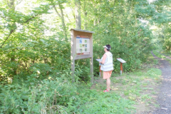 Tour24-6-03