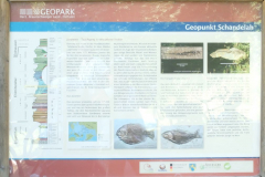 Tour24-6-04